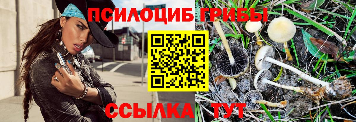 Псилоцибиновые грибы Psilocybine cubensis  Вход с VPN  Алексин 